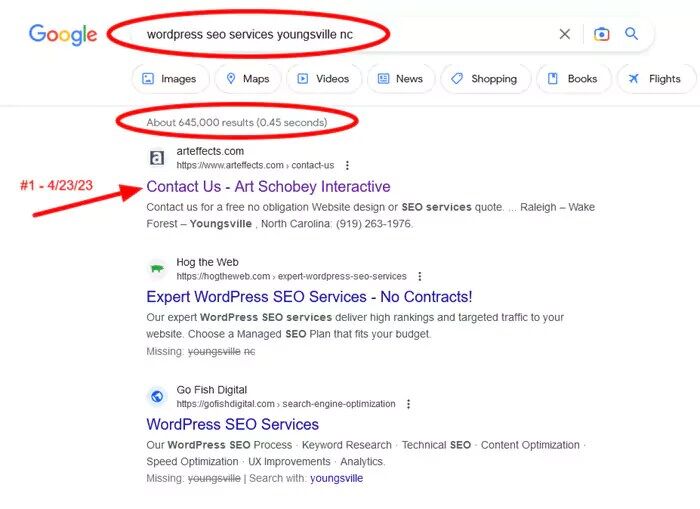 seo-services700w | Art Schobey Interactive | North Carolina WordPress Web Design